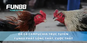 Đá Gà Campuchia Trực Tuyến Fun88 Phát Sóng Thật, Cược Thật
