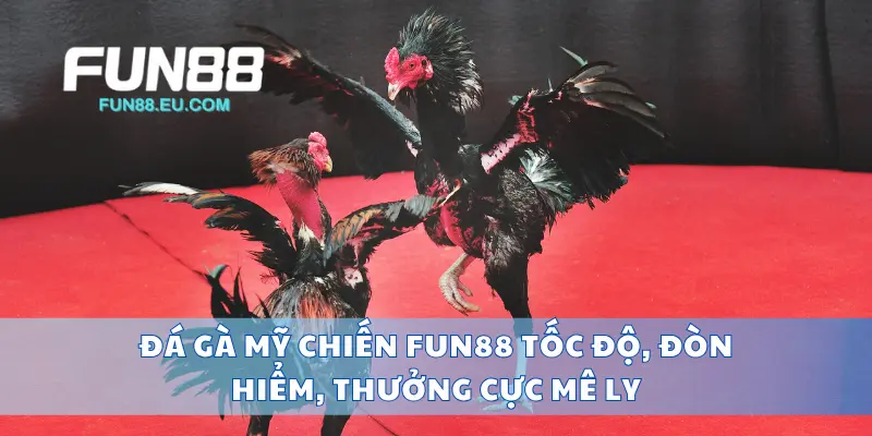 Đá Gà Mỹ Chiến Fun88 Tốc Độ, Đòn Hiểm, Thưởng Cực Mê Ly